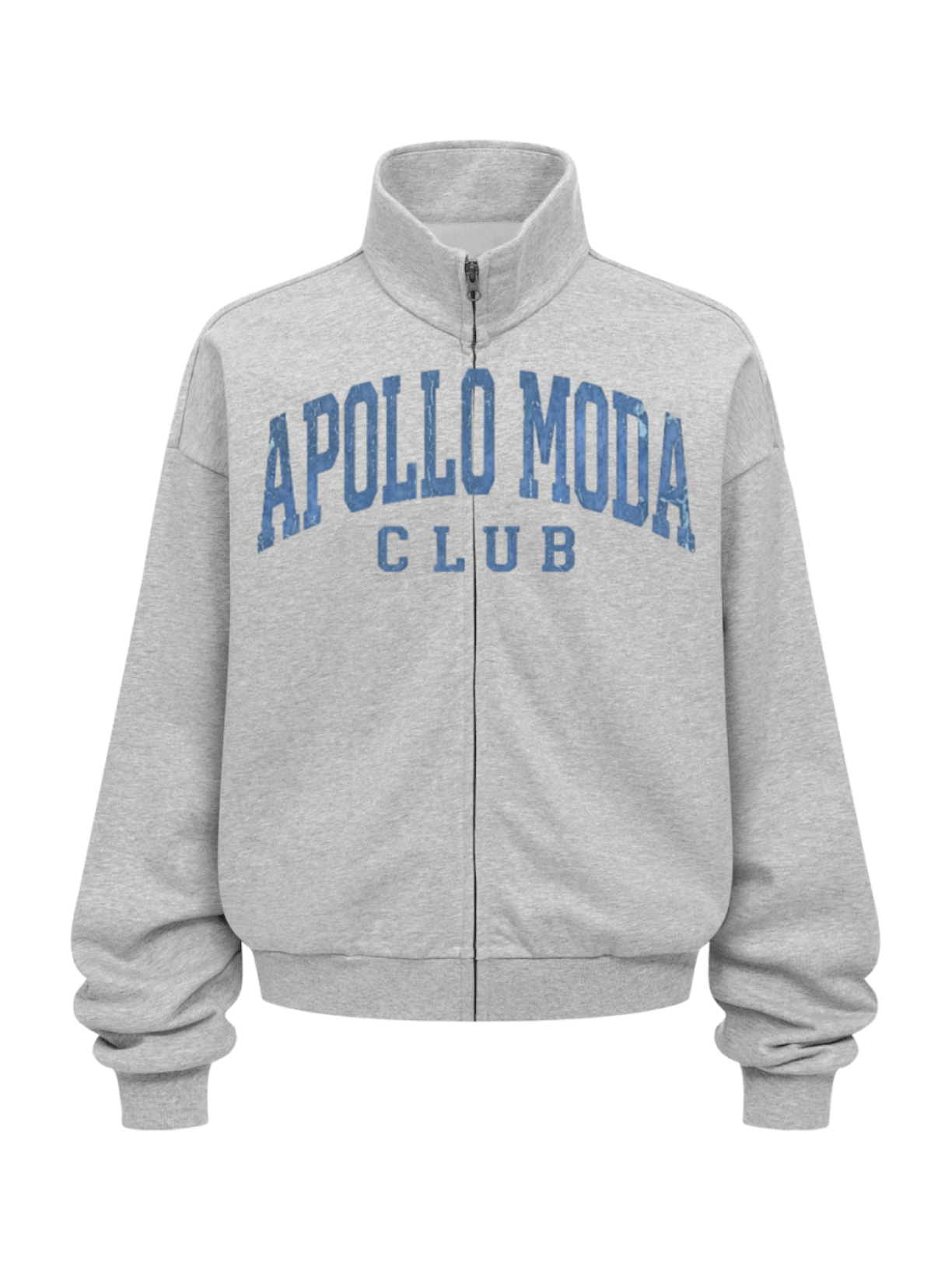 Club Collegiate oversized full-zip sweatshirt in gray by Apollo Moda, view 2